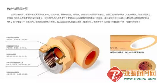 640.webp (14).jpg