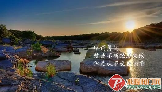 640.webp (10).jpg