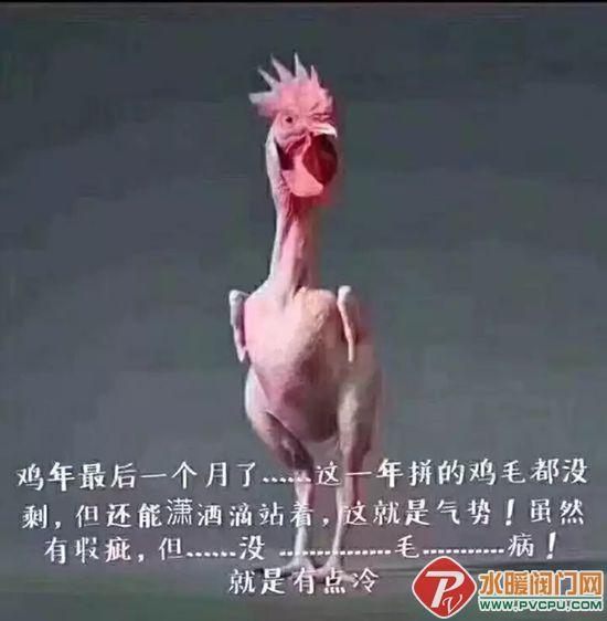 640.webp.jpg