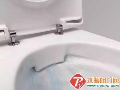 2.webp.jpg