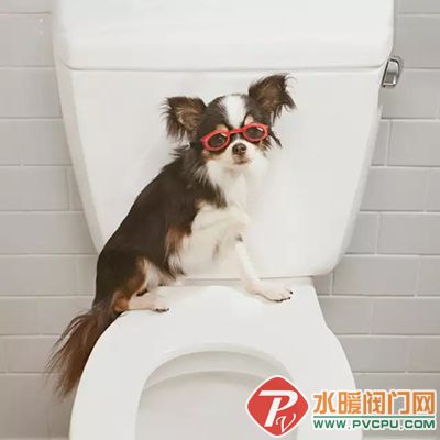 640.webp (12).jpg