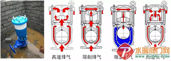 640.webp (3).jpg