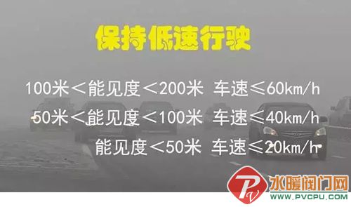 640.webp (9).jpg