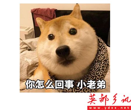 640.webp.jpg