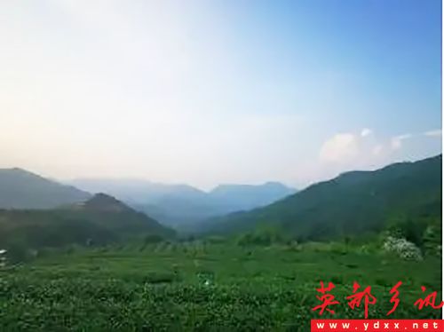 640.webp (21).jpg