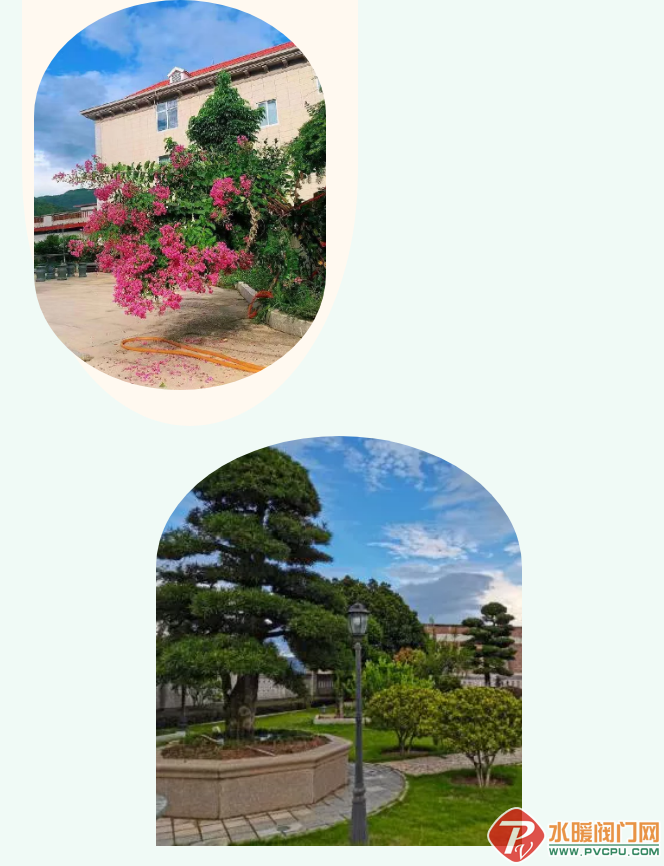 ΢Žͼ_20211006091029.png