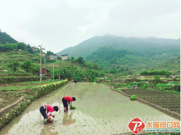 微信截图_20220402110945.png