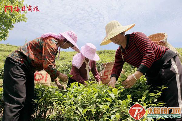 微信图片_20220531104940.jpg