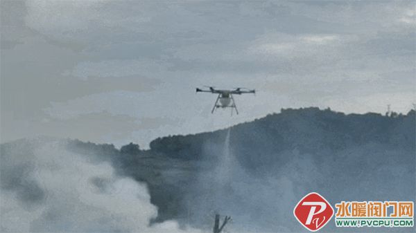 3 .jpg