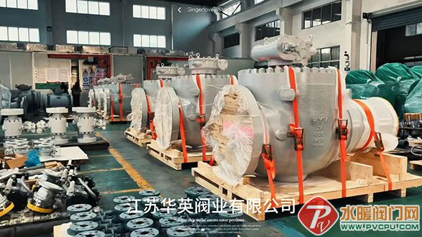 华英-封面 拷贝.jpg