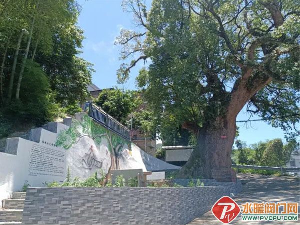 640 (2) ����.jpg