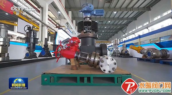 1770018772682096 (1).jpg