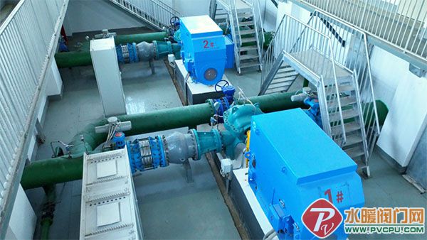 DM_20260211164903_009 拷贝.jpg