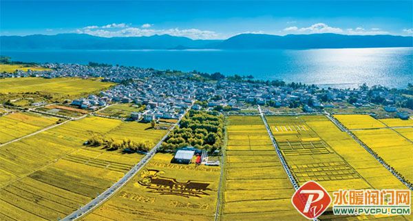 DM_20260211164903_012 拷贝.jpg