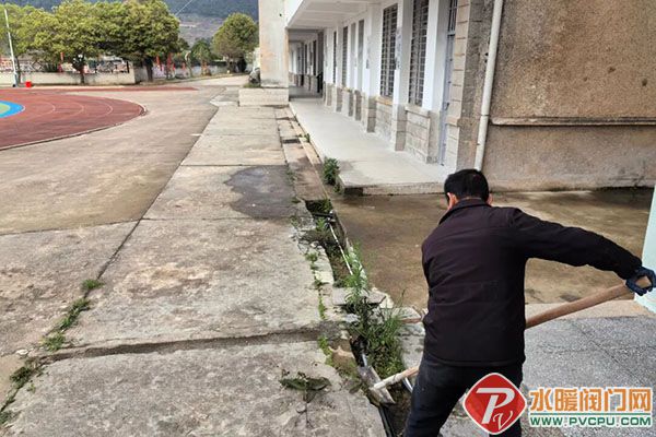 DM_20260309140103_003 ����.jpg