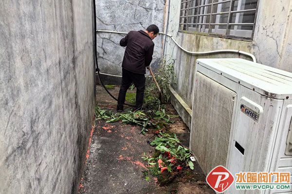 DM_20260309140103_007 ����.jpg