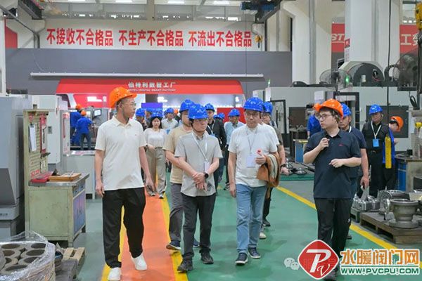 640 (4).jpg