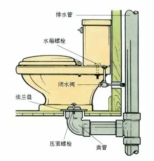 640.webp (17).jpg