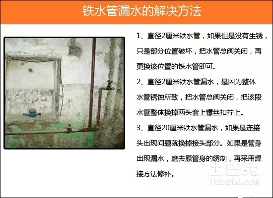 0.webp (2).jpg